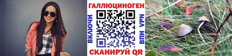 Псилоцибиновые грибы GOLDEN TEACHER  купить наркотики цена  Олонец 