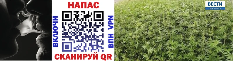 где купить   Олонец  Бошки Шишки OG Kush 